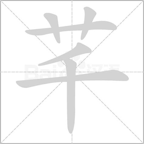 芊的五行|芊字五行属什么